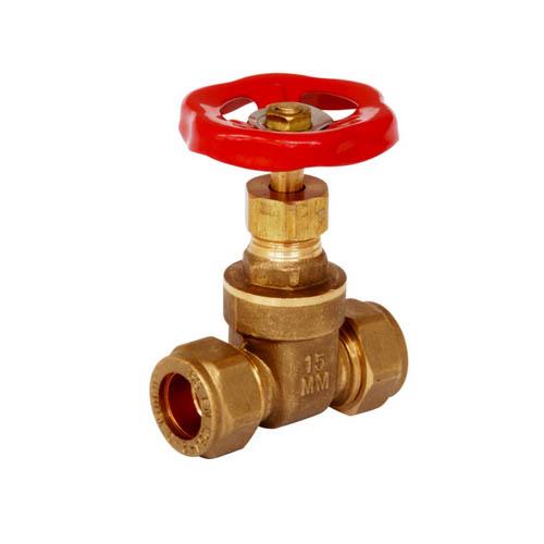 22MM CXC GATE VALVE Image 1